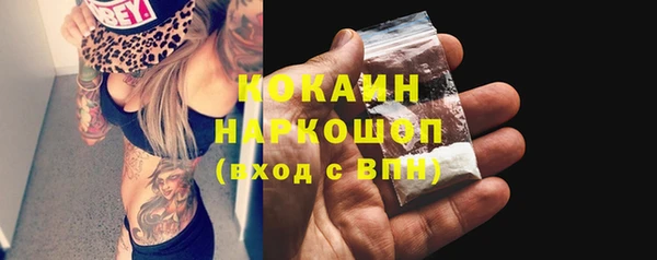 прущие крисы Корсаков
