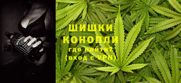 прущие крисы Корсаков