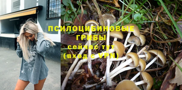 меф Коряжма